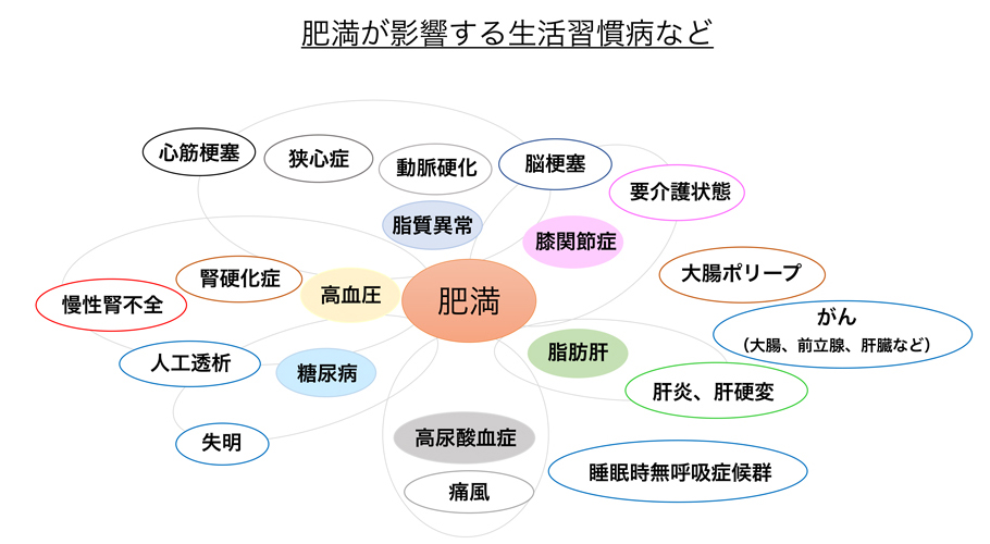 肥満が影響する生活習慣病など