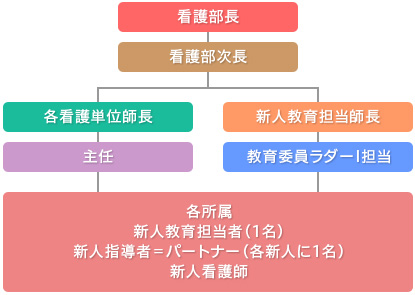 新人看護職員研修の図解